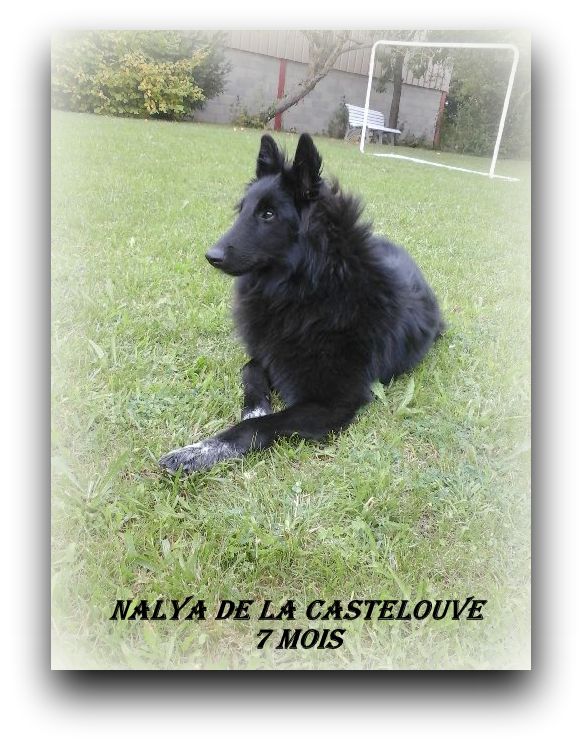 Nalya De La Castelouve