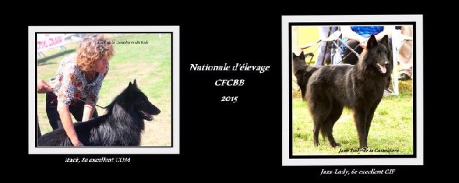 De La Castelouve - Nationale d'élevage août 2015 