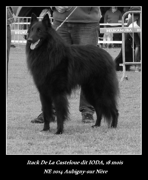 Itack dit ioda De La Castelouve