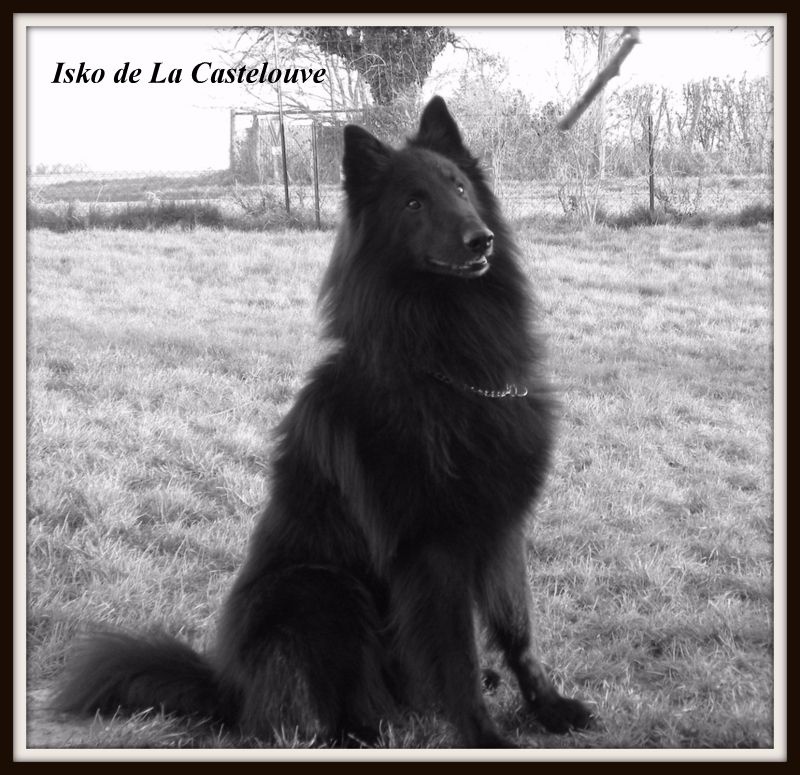 Isko De La Castelouve