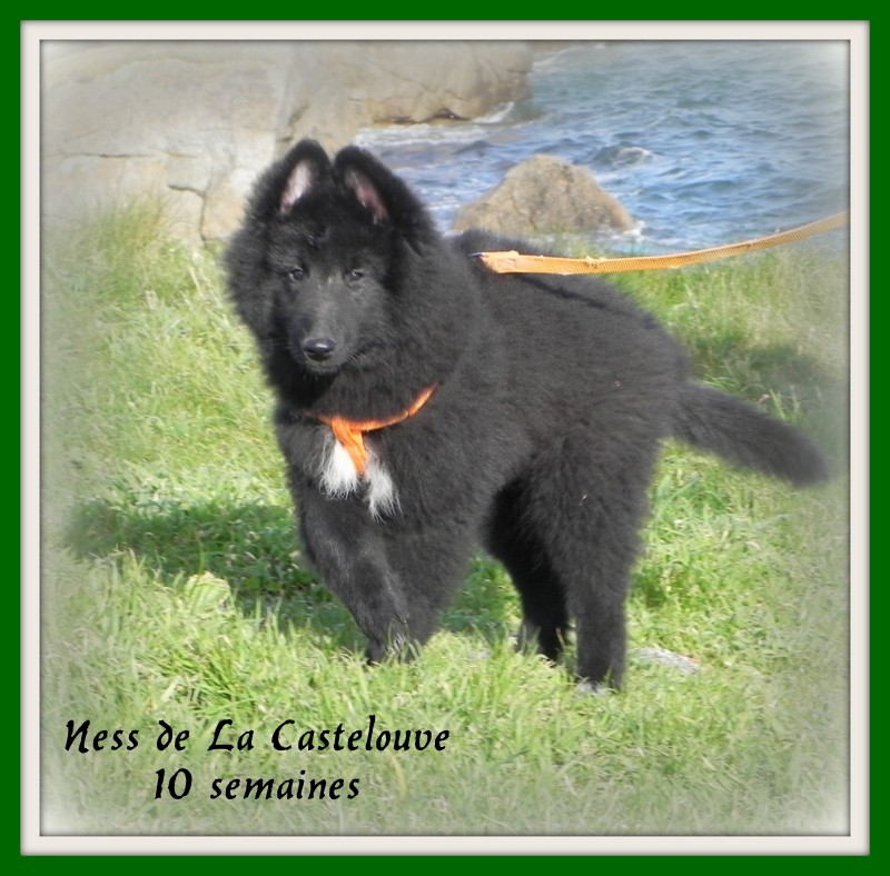 Ness De La Castelouve