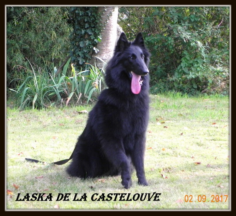 Laska De La Castelouve