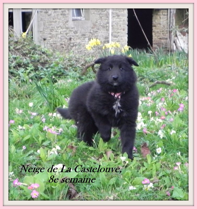 Neige De La Castelouve
