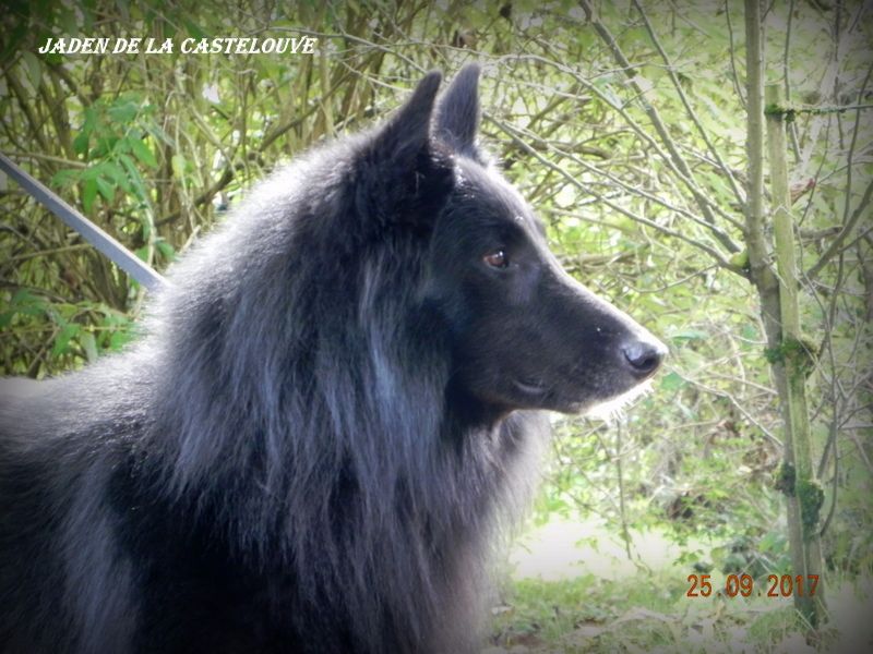 Jaden De La Castelouve